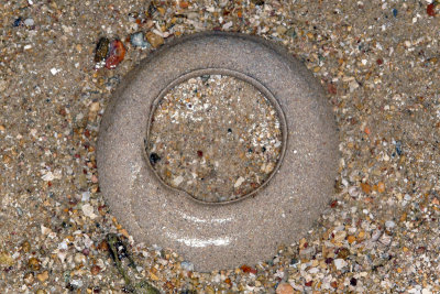 DSC_9562.jpg