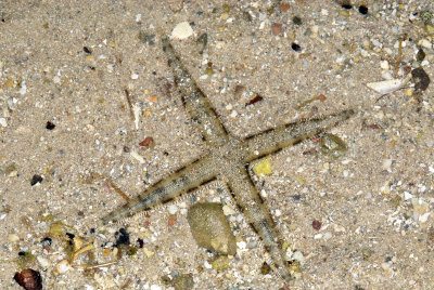 DSC_9564.jpg