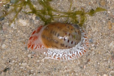 DSC_9573.jpg