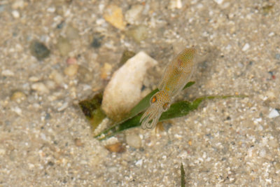 DSC_9577.jpg