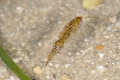 DSC_9579.jpg