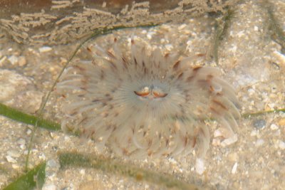 DSC_9591.jpg