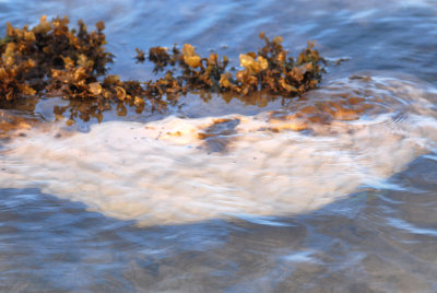 DSC_9595.jpg