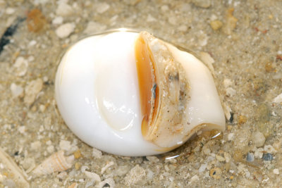 DSC_9600.jpg