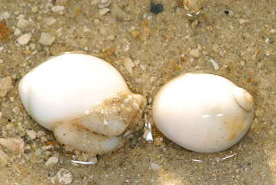 DSC_9602.jpg