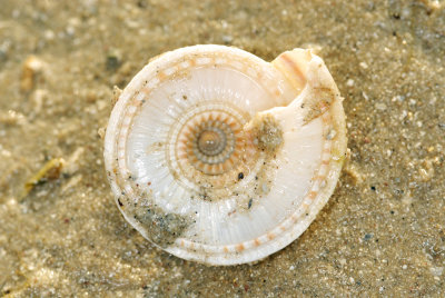 DSC_9603.jpg
