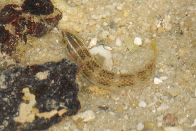 DSC_9609.jpg