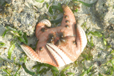 DSC_9614.jpg