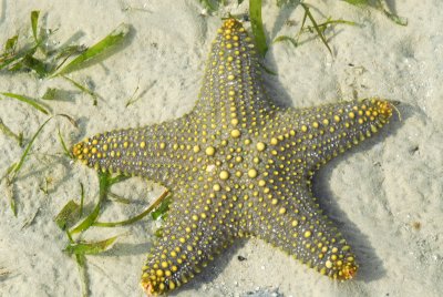 DSC_9617.jpg