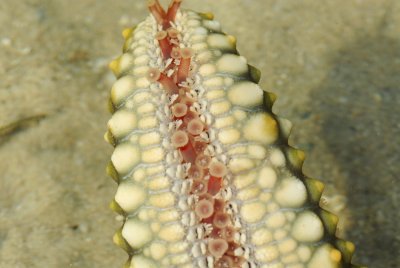 DSC_9623.jpg