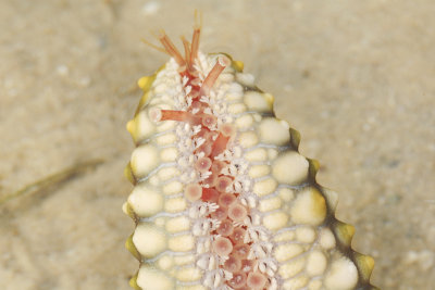 DSC_9625.jpg