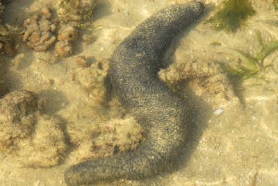 DSC_9627.jpg