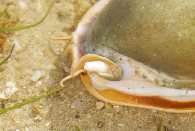 DSC_9642.jpg