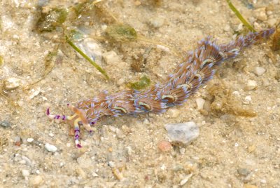 DSC_9655.jpg