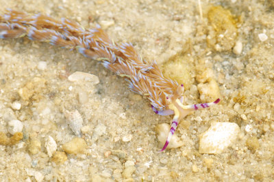 DSC_9658.jpg
