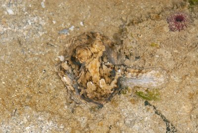 DSC_9675.jpg