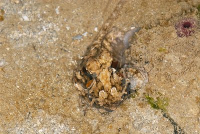 DSC_9676.jpg
