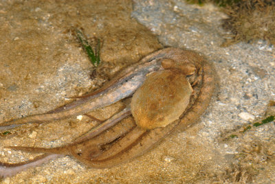 DSC_9678.jpg