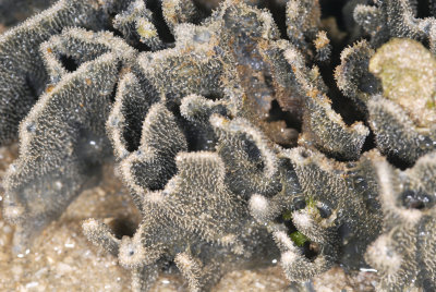 DSC_9684.jpg