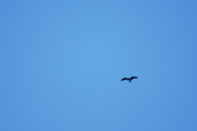 DSC_9688.jpg