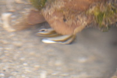 DSC_9693.jpg