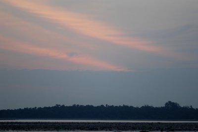 DSC_9698.jpg