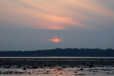 DSC_9709.jpg