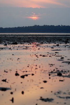DSC_9712.jpg