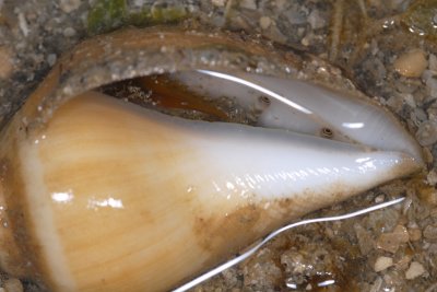 DSC_9718.jpg