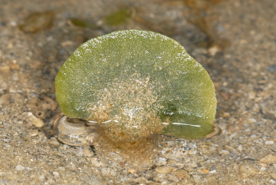DSC_9722.jpg