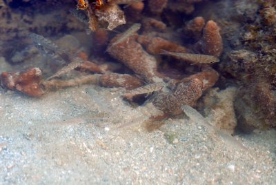 DSC_9730.jpg