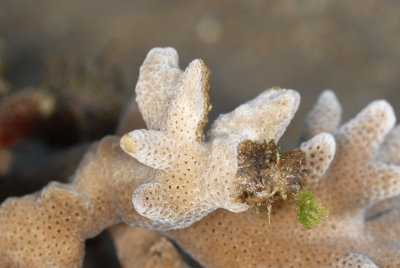 DSC_9744.jpg