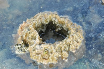 DSC_9787.jpg