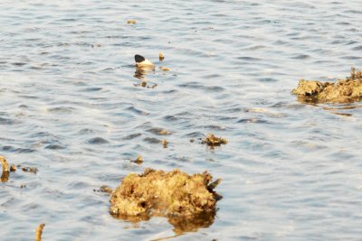 DSC_9792.jpg