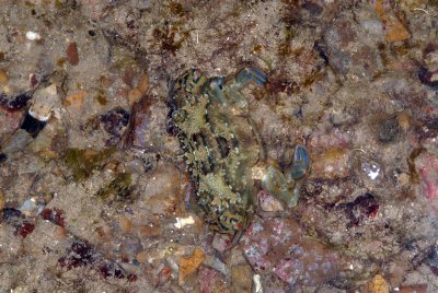 DSC_9832.jpg