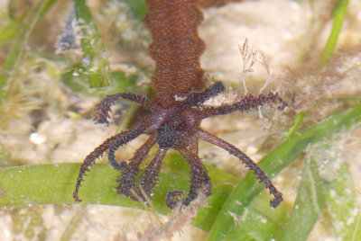 DSC_9849.jpg