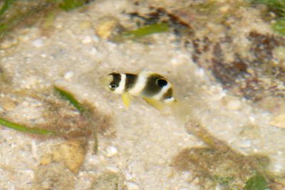DSC_9854.jpg