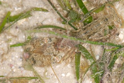 DSC_9856.jpg