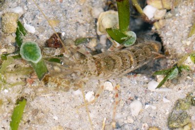 DSC_9871.jpg