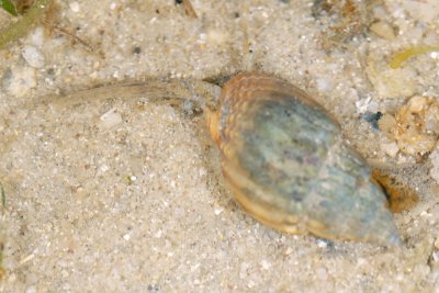 DSC_9895.jpg