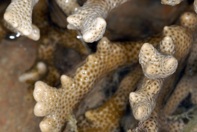DSC_9967.jpg