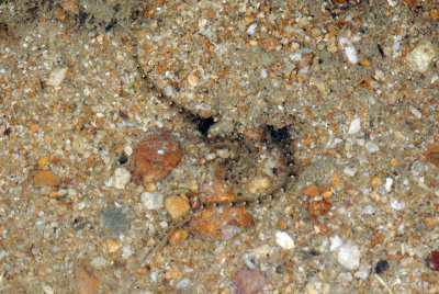 DSC_9972.jpg