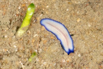 DSC_9973.jpg