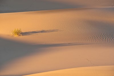 Death Valley, Mesquite Sand Dunes.