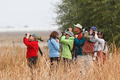 Birders