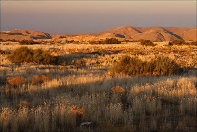 Panoche Hills BLM