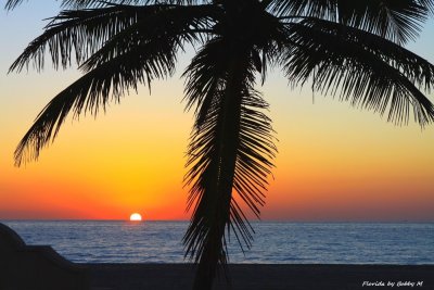 Florida sunrise