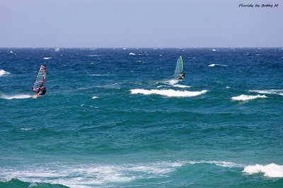 With the Wind