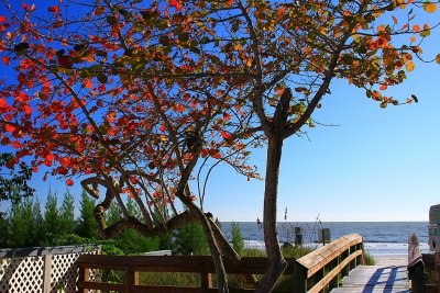 Beach access