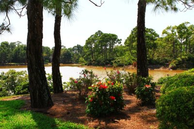 Morikami Gardens
